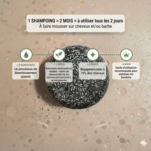 Shampoing Reactivateur De Couleur d'origine cheveux et barbes